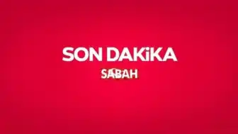 İçişleri Bakanlığı'ndan Van'daki Köpek Saldırısı Hakkında Açıklama: Saray Belediye Başkanı Davut Acar'a Soruşturma İzni Verildi