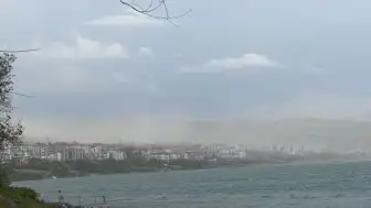 Bitlis'in Ahlat İlçesinde Toz Taşınımı ve Şiddetli Rüzgar Hayatı Olumsuz Etkiledi
