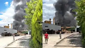 Sakarya'daki Palet Fabrikasında Yangın: Hasar Meydana Geldi