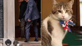 İngiltere Başbakanlık Konutu'nun Kedisi Larry, 10 Yılda 6 Başbakan Değişimine Tanıklık Etti