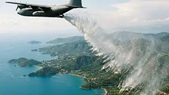 İzlanda'da Erozyonla Mücadele İçin Kullanılan Bitki Yeni Bir Ekolojik Krize Yol Açtı