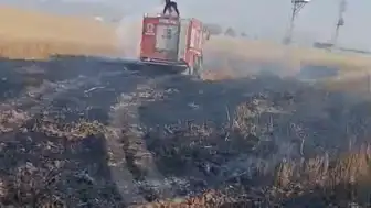 Şırnak'ın Silopi ilçesinde buğday ekili arazide yangın: 10 dönüm alan zarar gördü