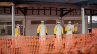 DSÖ'den Ebola Salgını Uyarısı: Virüs Aylar Önce Başlamış Olabilir