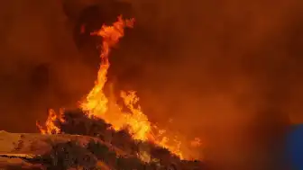 Los Angeles'ı Saran Yangına Neden Olduğu İddia Edilen Sanık Yargılanıyor