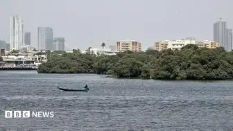 Pakistan'ın güney kıyılarında kaybolan kargo uçağı için arama çalışmaları başlatıldı