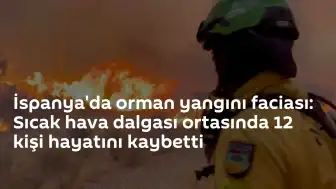 İspanya'da Orman Yangını: Sıcak Hava Dalgası Esnasında 12 Kişi Yaşamını Yitirdi
