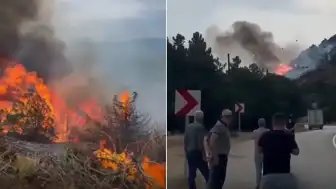 Isparta Eğirdir'de Orman Yangını: Ekiplerin Müdahalesi Devam Ediyor