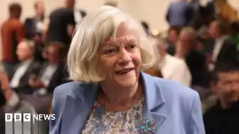 Polis, Ann Widdecombe Cinayetinin Siyasi Bir Motivasyon Taşıdığına Dair Kanıt Bulamadığını Açıkladı