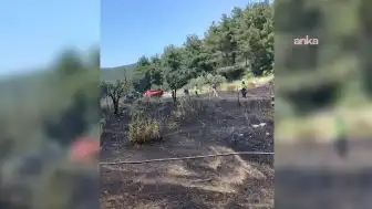 İzmir Bornova'da Otluk Alanda Çıkan Yangın Kontrol Altına Alındı