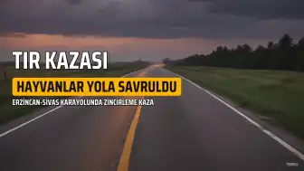 Erzincan-Sivas Karayolu'nda Zincirleme Kaza: 5 Büyükbaş Hayvan Telef Oldu