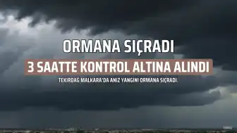 Tekirdağ Malkara'da Anız Yangını Ormana Sıçradı: 3 Saatte Kontrol Altına Alındı