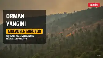 Türkiye Orman Yangınlarıyla Mücadele Ediyor: Antalya ve Muğla'da Son Durum