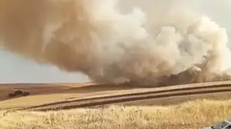 Mardin Mazıdağı'nda Tarla Yangını Çıktı