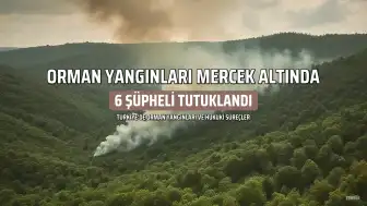 44 Orman Yangınına İlişkin Soruşturmada 6 Şüpheli Tutuklandı
