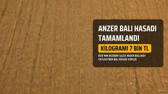 Anzer Balı Hasadı Tamamlandı: Kilogramı 7 Bin TL'den Satışa Sunulacak