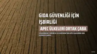 Çin Başbakan Yardımcısı Liu Guozhong: APEC Ülkeleri Gıda Güvenliğini Güçlendirmek İçin İşbirliği Yapmalı