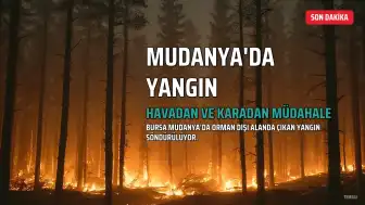 Mudanya'da Orman Dışı Alanda Çıkan Yangına Havadan ve Karadan Müdahale Ediliyor
