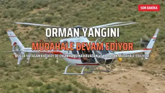 Muğla'nın Yatağan İlçesinde Orman Yangını: Müdahale Devam Ediyor
