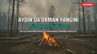 Aydın'ın Çine ilçesinde orman yangını: Müdahale sürüyor