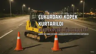 Bingöl'de 10 Metrelik Çukura Düşen Köpek AFAD Ekiplerince Kurtarıldı