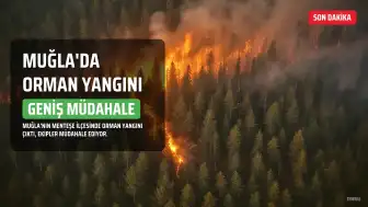 Muğla'nın Menteşe İlçesinde Orman Yangını: Geniş Çaplı Müdahale Başlatıldı