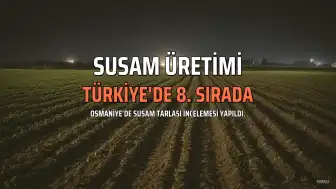 Osmaniye Susam Üretiminde Türkiye'de 8. Sırada Yer Aldı