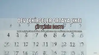 Van'da Görülen 20 Santimetreye Yaklaşan Çekirgeler Paniğe Neden Oldu: Uzmanlar Faydalı Olduğunu Açıkladı