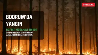 Bodrum'da Orman Yangını: Ekipler Havadan ve Karadan Müdahale Ediyor