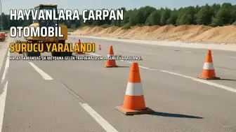 Hatay'da Trafik Kazası: Otomobil Büyükbaş Hayvanlara Çarptı, Sürücü Yaralandı