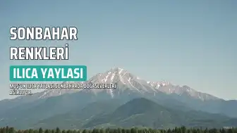 Muş'un Ilıca Yaylası Sonbahar Renkleriyle Doğaseverleri Büyüledi