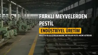 TÜBİTAK Destekli Makine, Farklı Meyveleri Pestil Haline Getiriyor