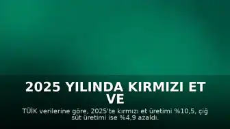 2025 Yılında Kırmızı Et ve Süt Üretiminde Düşüş Yaşandı