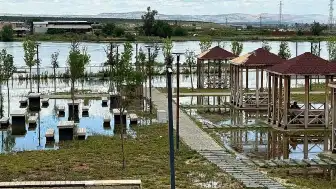 Atatürk Barajı Kapakları Açıldı, Fırat Nehri Taştı: Park ve İş Yerleri Sular Altında Kaldı