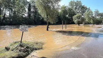 Bartın Irmağı Taştı: Orduyeri Mahallesi ve Çağlayan Piknik Alanı Sular Altında Kaldı