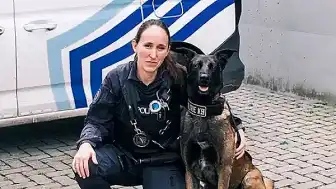 Belçika'da Köpekler İçin Özel Menü Sunan Beach Bar: Ördek Göğsü Filetosu Menüde