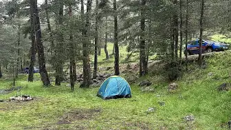 Bolu'da Ormana Yıldırım Düşmesiyle Kamp Yapan 3 Kişi Yaralandı