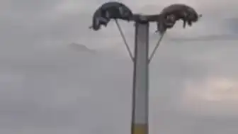 Buca Lunaparkta Bayramda Arızalar Vatandaşları Tehlikeye Attı