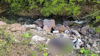 Düzce Yaylasında Dere Kenarında Bıçaklanmış Erkek Cesedi Bulundu