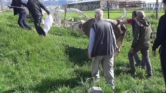 Erzurum'da Kurban Kesimi Sırasında Bir Kişi Hayatını Kaybetti, Çok Sayıda Yaralı Var
