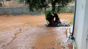 Gaziantep'in İslahiye İlçesinde Sağanak Nedeniyle Dereler Taştı, Ekipler Çalışma Başlattı