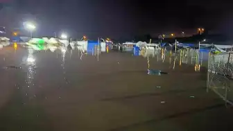 Hatay Dörtyol'da Şiddetli Yağış Hayvan Pazarını Vurdu, Bazı Hayvanlar Telef Oldu