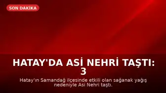 Hatay'da Asi Nehri Taştı: 3 Kişi Hayatını Kaybetti, 2 Kişi Kayıp