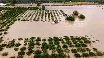 Hatay'da Aşırı Yağışlar Sonrası Tarım Arazilerinde Hasar Tespiti Devam Ediyor