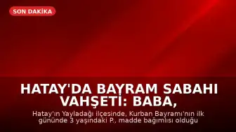 Hatay'da Bayram Sabahı Vahşeti: Baba, 3 Yaşındaki Oğlunu Öldürüp Uzuvlarını Kesti İddiası