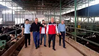 Hatay'da Kurban Bayramı Öncesi Hayvan Satış Yerlerinde Denetimler Yapıldı