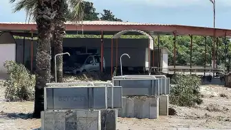 Hatay'ın Dörtyol İlçesinde Şiddetli Yağış Nedeniyle Araçlar Sular Altında Kaldı