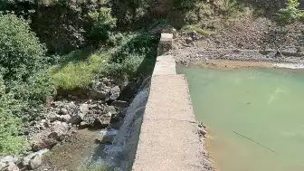 İslahiye'de Derede Boğulma Tehlikesi Geçiren E.Y. Hayatını Kaybetti