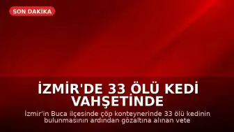 İzmir'de 33 Ölü Kedi Vahşetinde Veteriner Hekim H.E. Yeniden Gözaltına Alındı