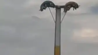 İzmir'de Lunapark Kabusu: Oyuncak Arızaları Vatandaşları Tehlikeye Attı