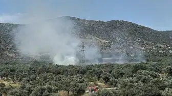 İzmir'in Bayındır İlçesinde Zeytinlik Alanda Yangın Kontrol Altına Alındı